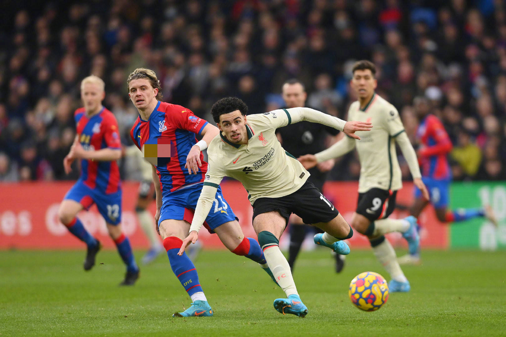 这种能力在 这种能力在